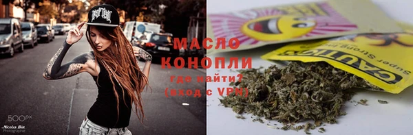 стаф Аркадак