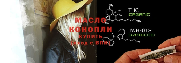 стаф Аркадак