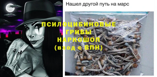 стаф Аркадак