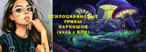 стаф Аркадак