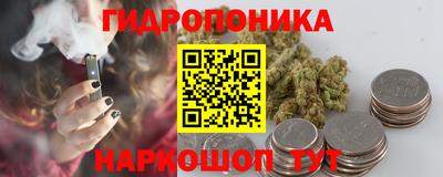 гидра Татарск