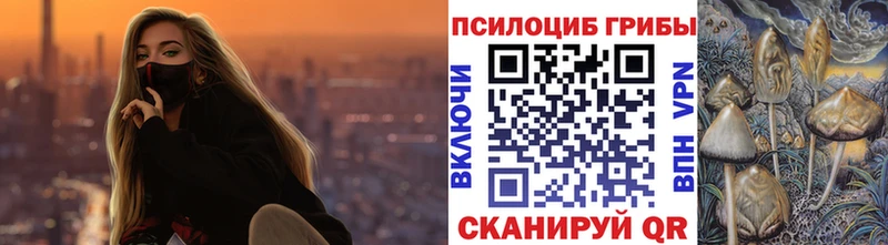 mega рабочий сайт  цена наркотик  Родники  Псилоцибиновые грибы Psilocybine cubensis 