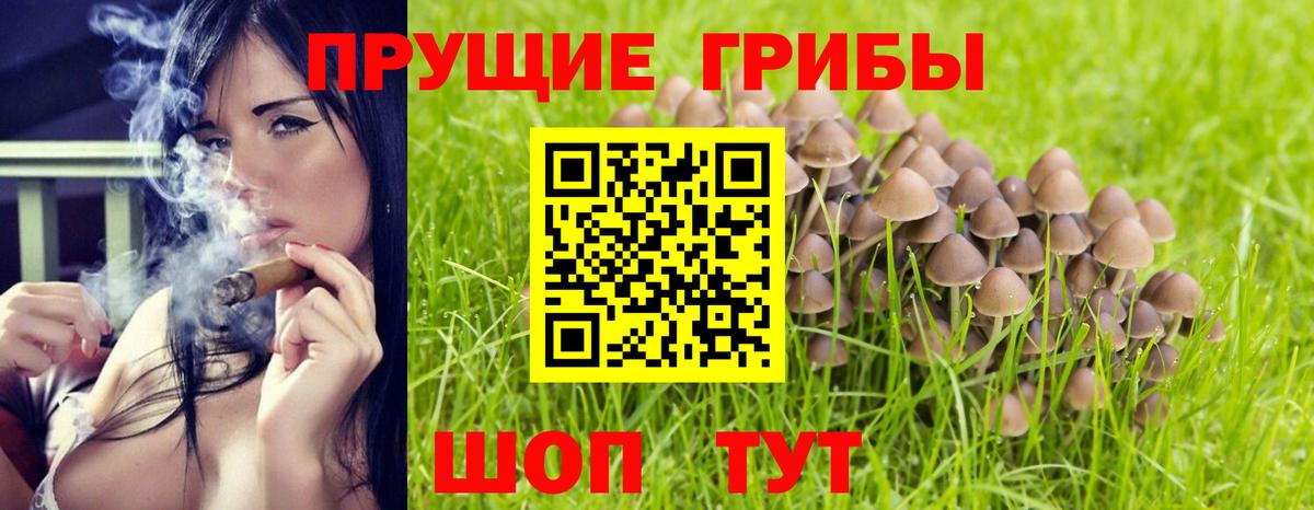 Галлюциногенные грибы ЛСД Родники